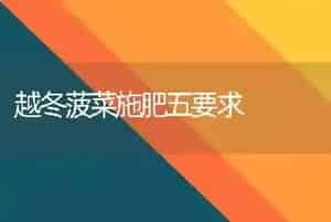 越冬菠菜施肥五要求