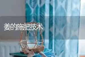 姜的施肥技术