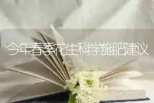今年春季花生科学施肥建议