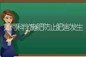 如何科学施肥防止肥害发生