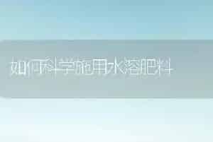 如何科学施用水溶肥料