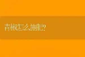 青椒怎么施肥?