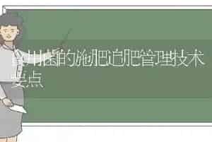 食用菌的施肥追肥管理技术要点