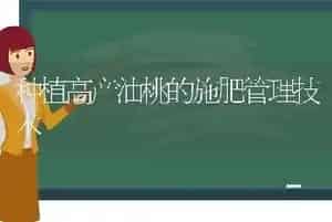种植高产油桃的施肥管理技术
