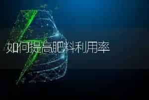 如何提高肥料利用率
