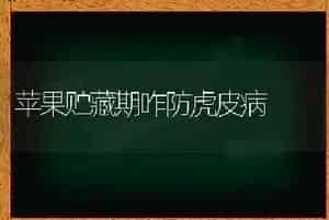 巧施肥可防梨树黄化病