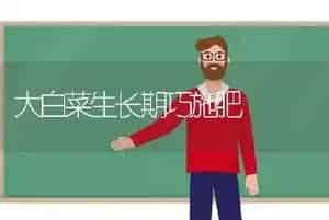 大白菜生长期巧施肥