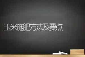 玉米施肥方法及要点
