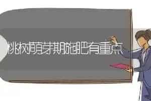 桃树萌芽期施肥有重点