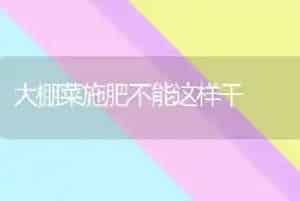 大棚菜施肥不能这样干