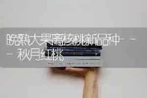 晚熟大果离核桃新品种---秋月红桃