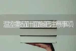 温室番茄叶面施肥注意事项
