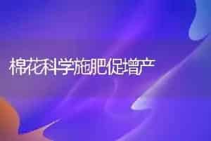 棉花科学施肥促增产