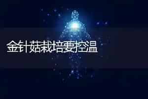 金针菇栽培要控温
