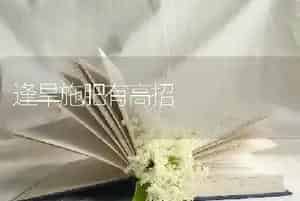 逢旱施肥有高招
