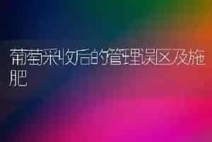 葡萄采收后的管理误区及施肥