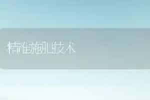 精准施肥技术