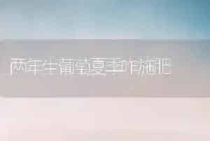 两年生葡萄夏季咋施肥