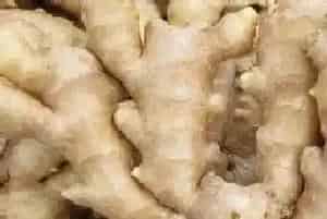 猫可以吃姜吗,猫咪吃生姜会怎么养,有什么危害?