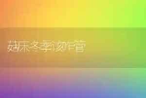 菇床冬季该咋管