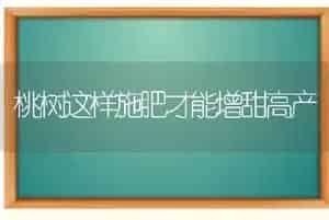桃树这样施肥才能增甜高产
