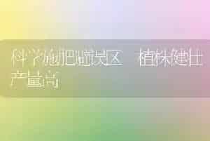科学施肥避误区 植株健壮产量高