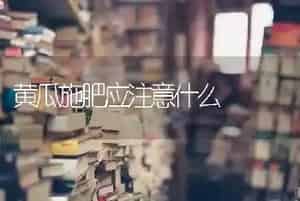 黄瓜施肥应注意什么