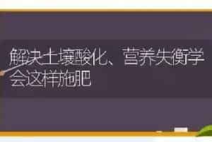 解决土壤酸化、营养失衡学会这样施肥