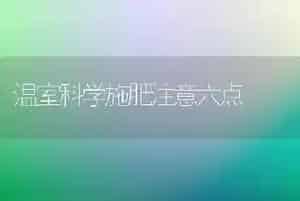 温室科学施肥注意六点