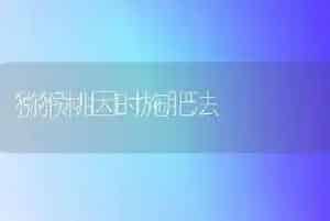 猕猴桃因时施肥法