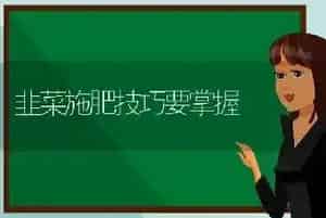 韭菜施肥技巧要掌握