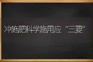 冲施肥科学施用应“三要”