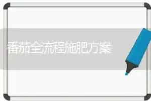 番茄全流程施肥方案