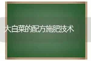 大白菜的配方施肥技术
