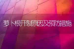 萝卜根开裂原因及预防措施