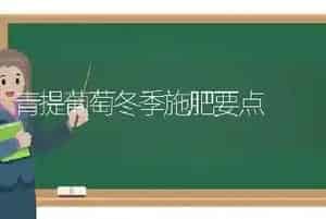 青提葡萄冬季施肥要点