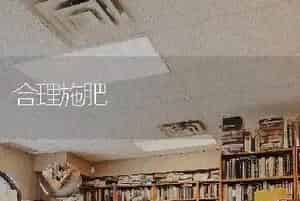 合理施肥