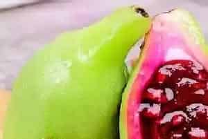 仙人掌果子能吃吗?