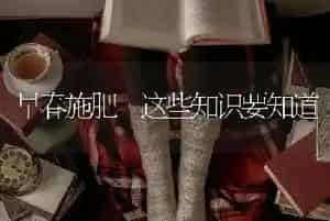 早春施肥 这些知识要知道