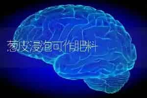葱皮浸泡可作肥料