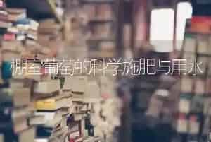 棚室葡萄的科学施肥与用水