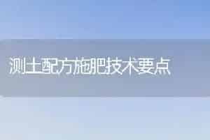 测土配方施肥技术要点