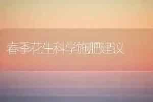 春季花生科学施肥建议