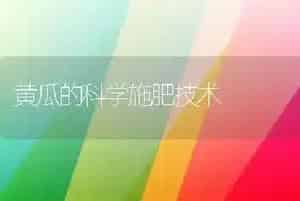 黄瓜的科学施肥技术