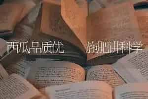 西瓜品质优  施肥讲科学