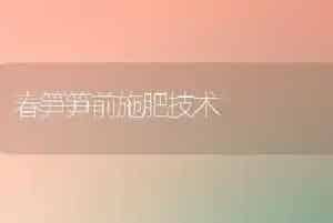 春笋笋前施肥技术