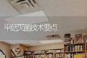 平菇灭菌技术要点