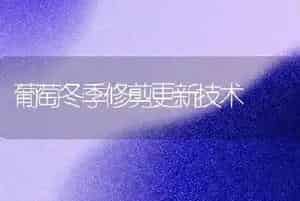葡萄冬季修剪更新技术
