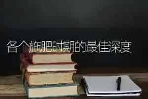 各个施肥时期的最佳深度