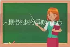 大棚樱桃树冬季修剪要点